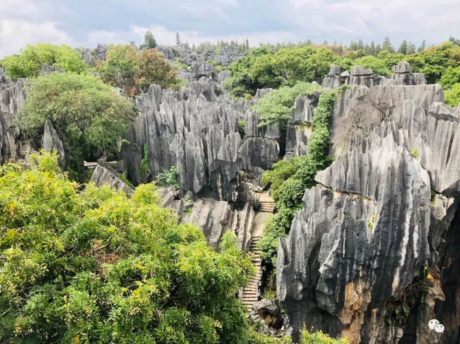 红日星集团精英团队 一 金秋云南之旅