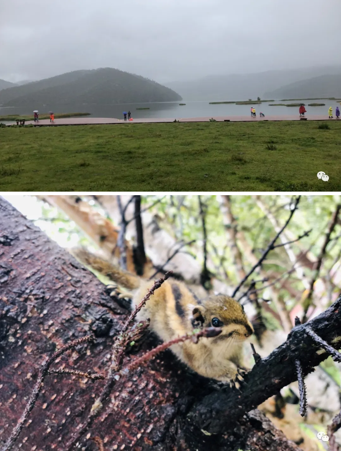 红日星集团精英团队 一 金秋云南之旅